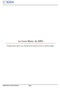 Le livre blanc du MES