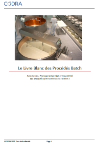 Livre blanc du process batch